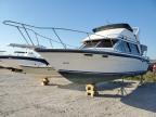 1988 Bayl 2850 Ciera for Sale in Arcadia, FL - All Over