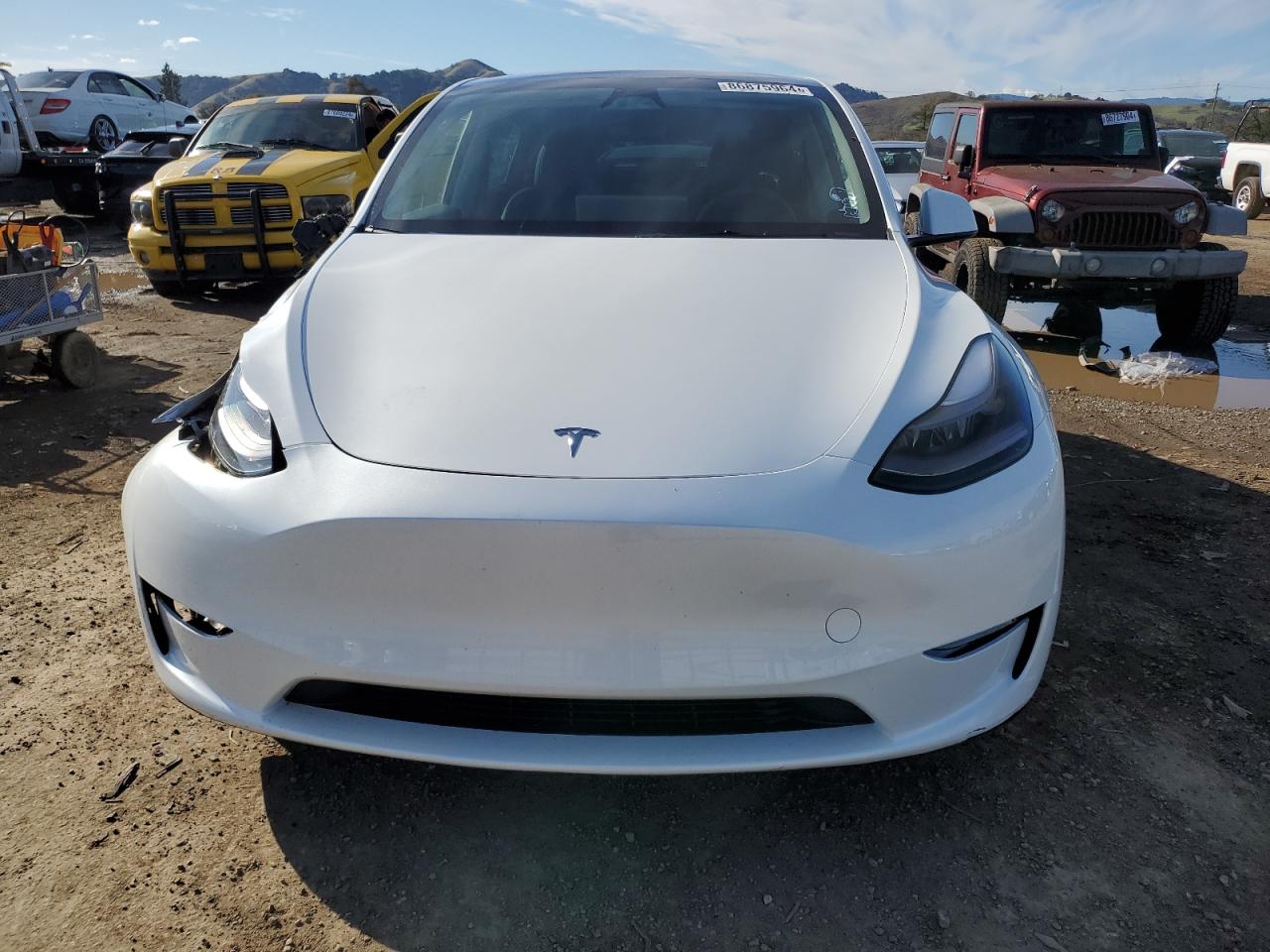 VIN 7SAYGAEE3RF043712 2024 TESLA MODEL Y no.5