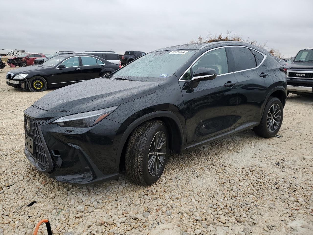 2024 LEXUS NX 350H BA