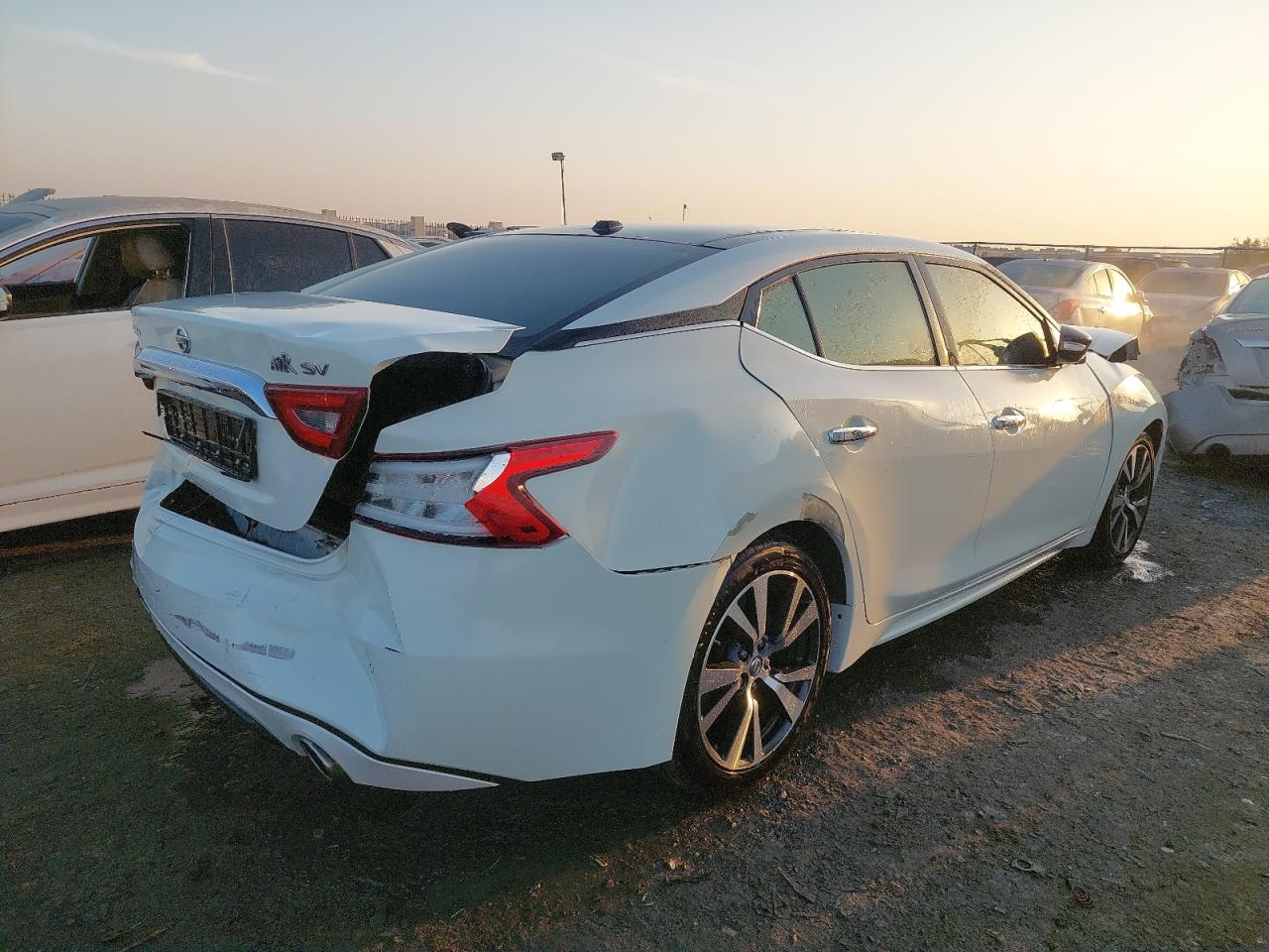 1N4AA6AP4HC369623 - 2017 NISSAN MAXIMA - #86786764