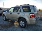 2010 Ford Escape Xlt en Venta en Tifton, GA - Minor Dent/Scratches