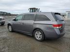 2015 Honda Odyssey Exl продається в Lumberton, NC - Front End