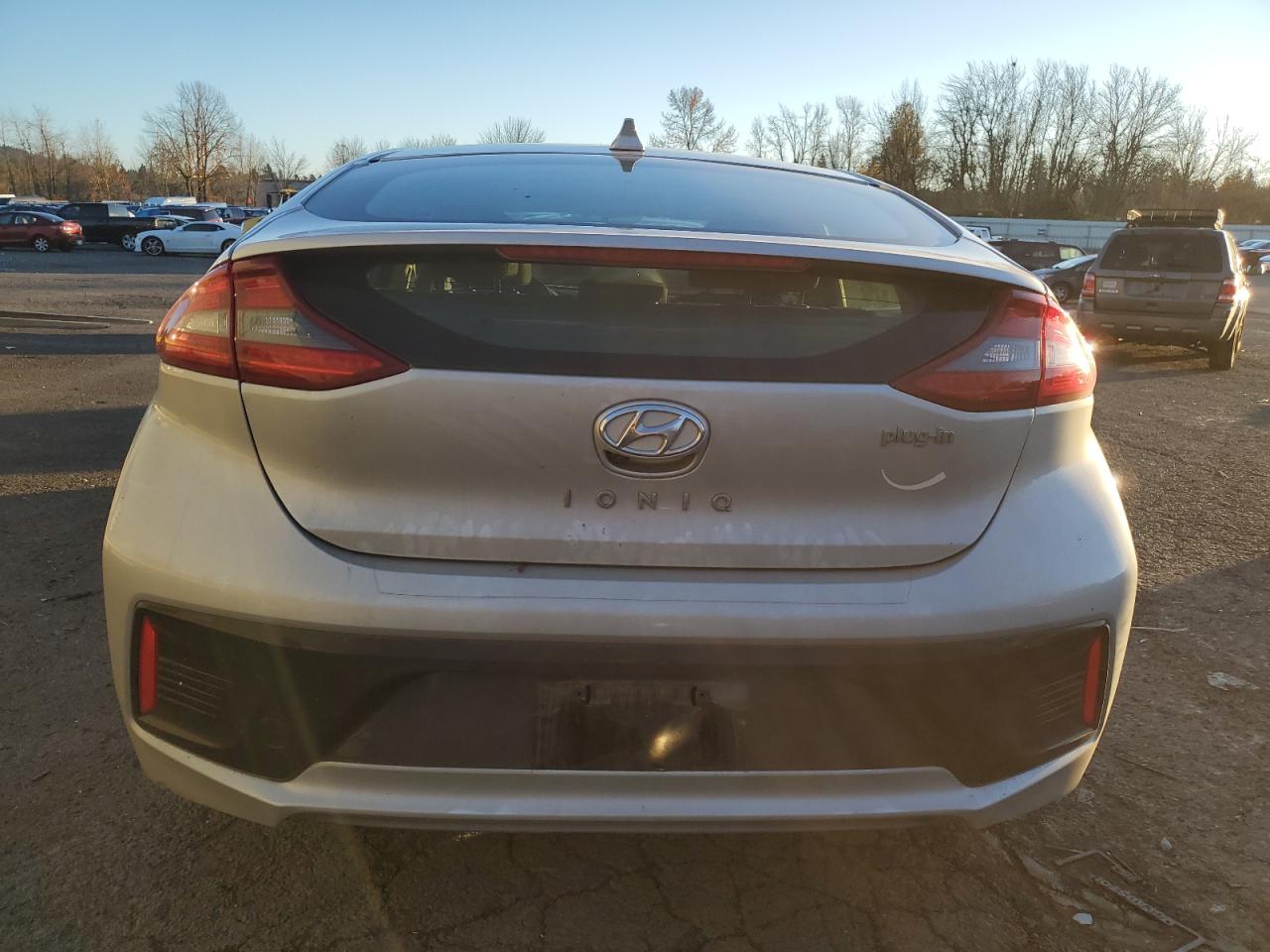 2019 Hyundai Ioniq VIN: KMHC65LD6KU122795 Lot: 83115144