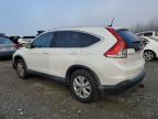 2014 Honda Cr-V Exl zu verkaufen in Arlington, WA - Rear End