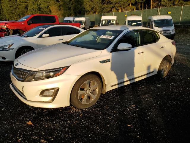  KIA OPTIMA 2014 Белы