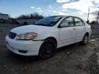 2003 Toyota Corolla Ce за продажба в Hillsborough, NJ - Rear End