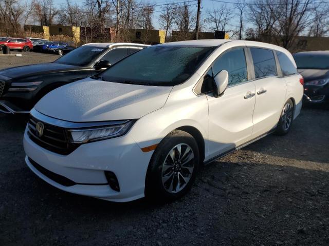 2021 Honda Odyssey Exl