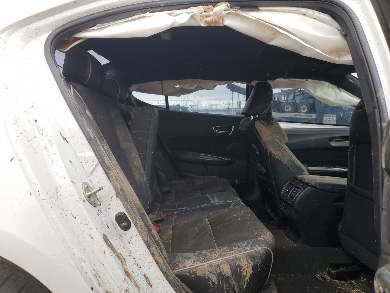 2020 Acura Tlx Technology VIN: 19UUB1F6XLA800205 Lot: 85103525