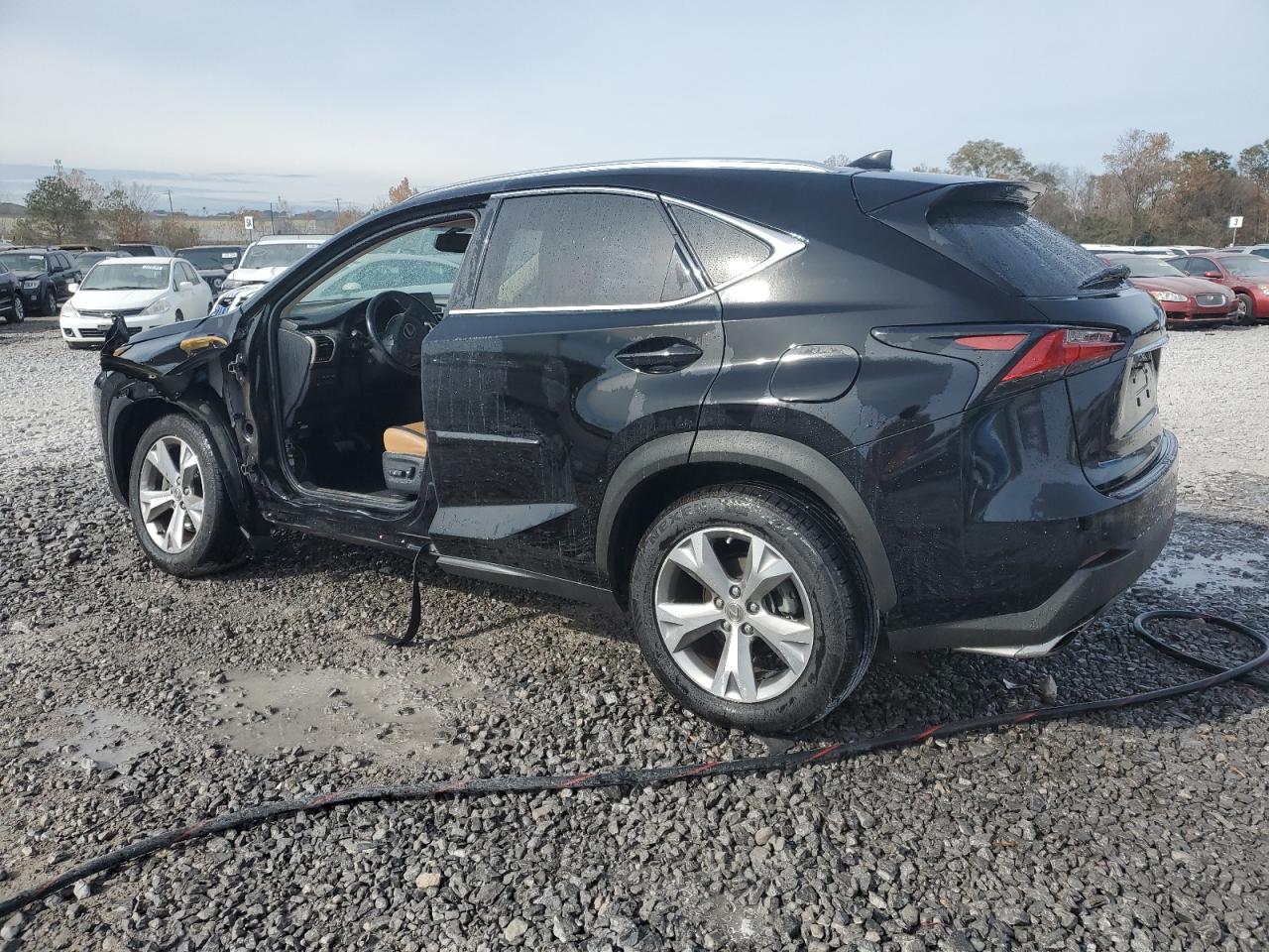 VIN JTJYARBZ9H2053146 2017 LEXUS NX no.2