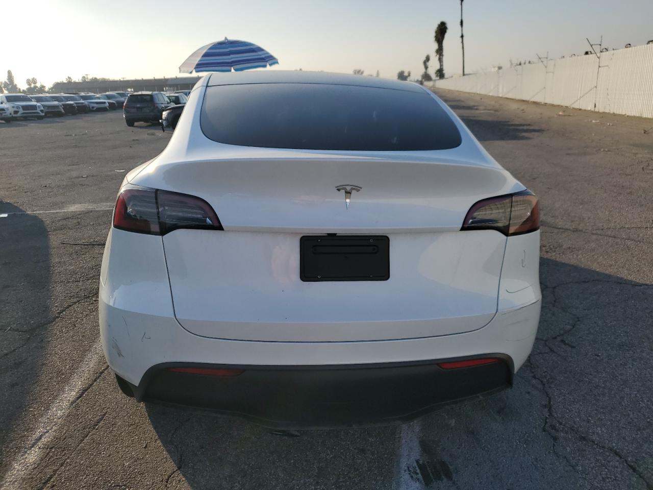 2024 Tesla Model Y VIN: 7SAYGDED1RF169916 Lot: 83117774