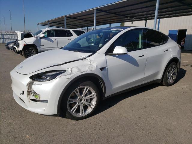 2023 TESLA MODEL Y, VIN: 7SAYGDEEXPF639785