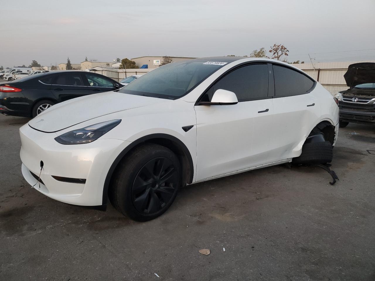 VIN 7SAYGDED5RF168445 2024 TESLA MODEL Y no.1