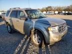 2010 Ford Escape Xlt en Venta en Tifton, GA - Minor Dent/Scratches