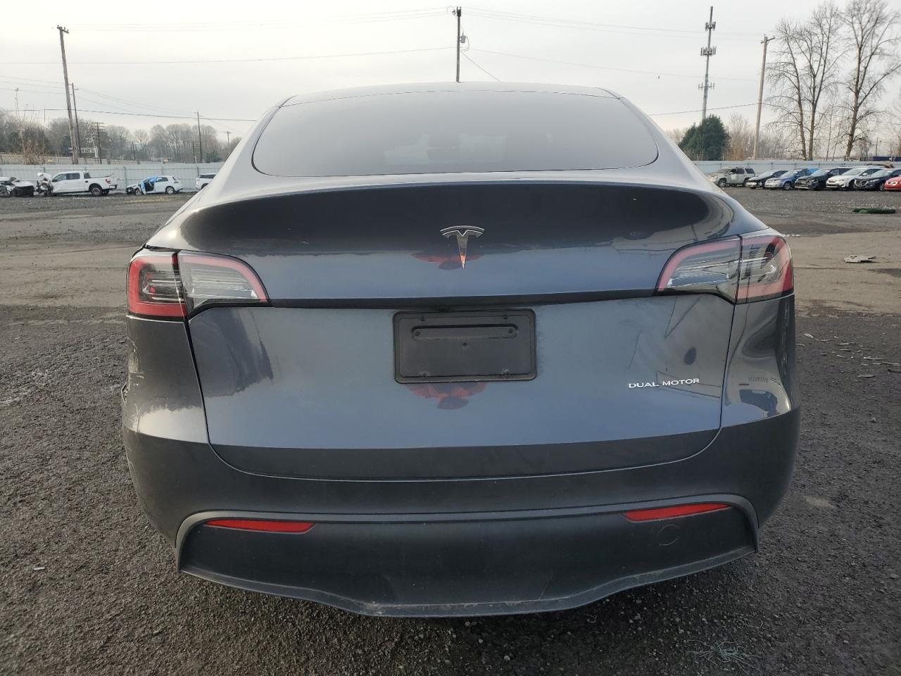 2023 Tesla Model Y VIN: 7SAYGDEE3PF905891 Lot: 84209864