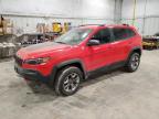 2019 Jeep Cherokee Trailhawk للبيع في Milwaukee، WI - Front End