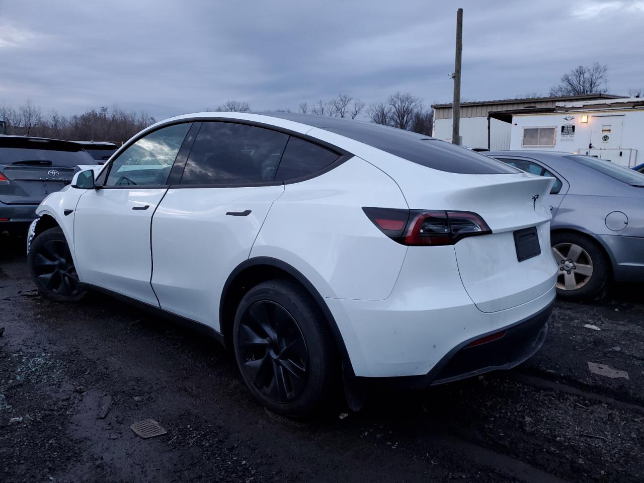 2024 Tesla Model Y VIN: 7SAYGDED2RF159699 Lot: 84824804