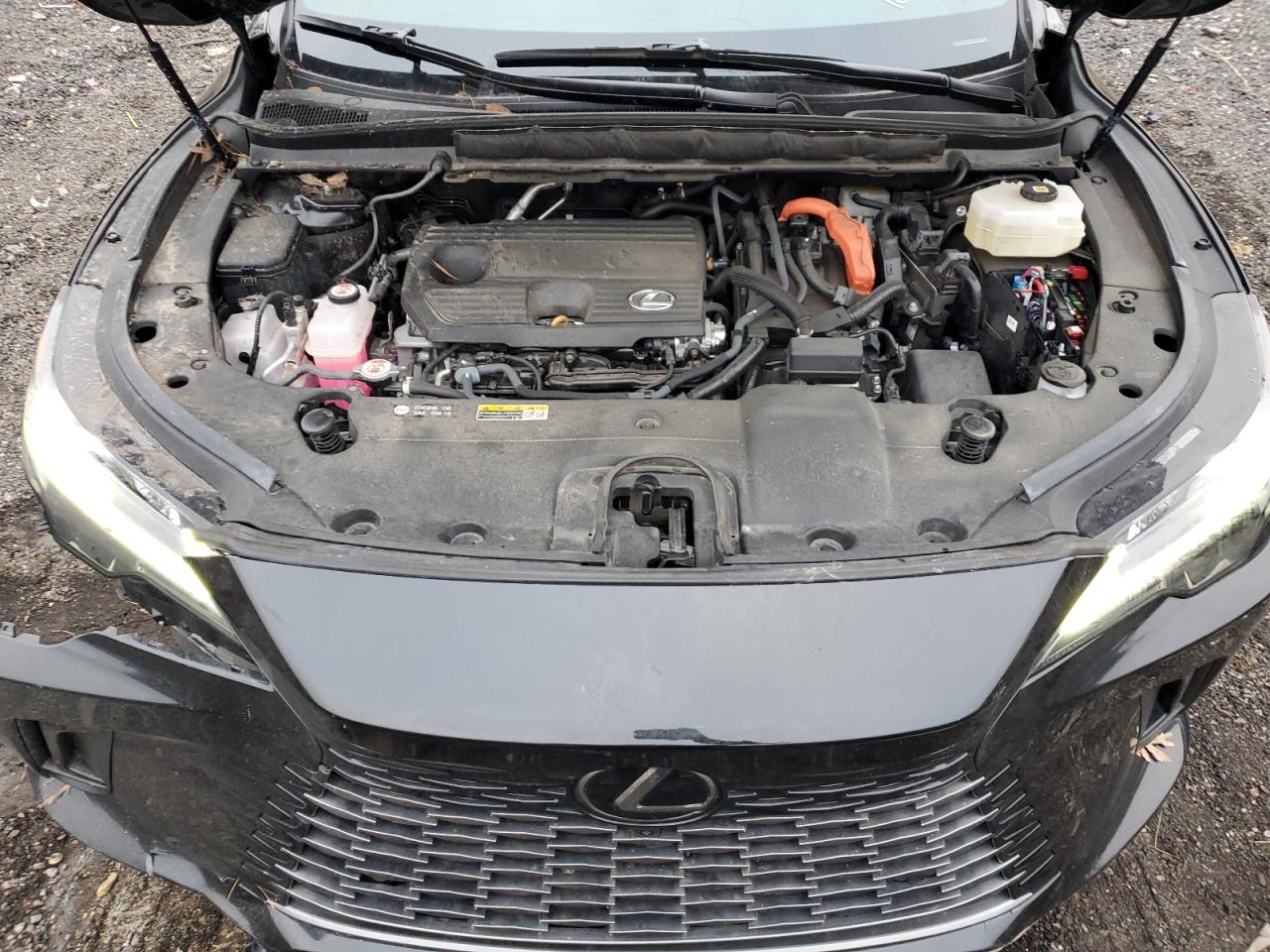 2024 Lexus RX - Image 13