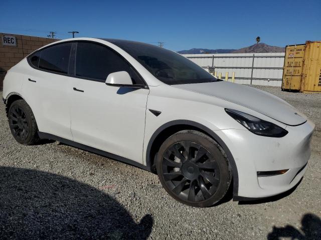  TESLA MODEL Y 2022 White