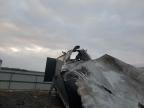 2024 Stou 53 Trailer for Sale in Earlington, KY - Burn