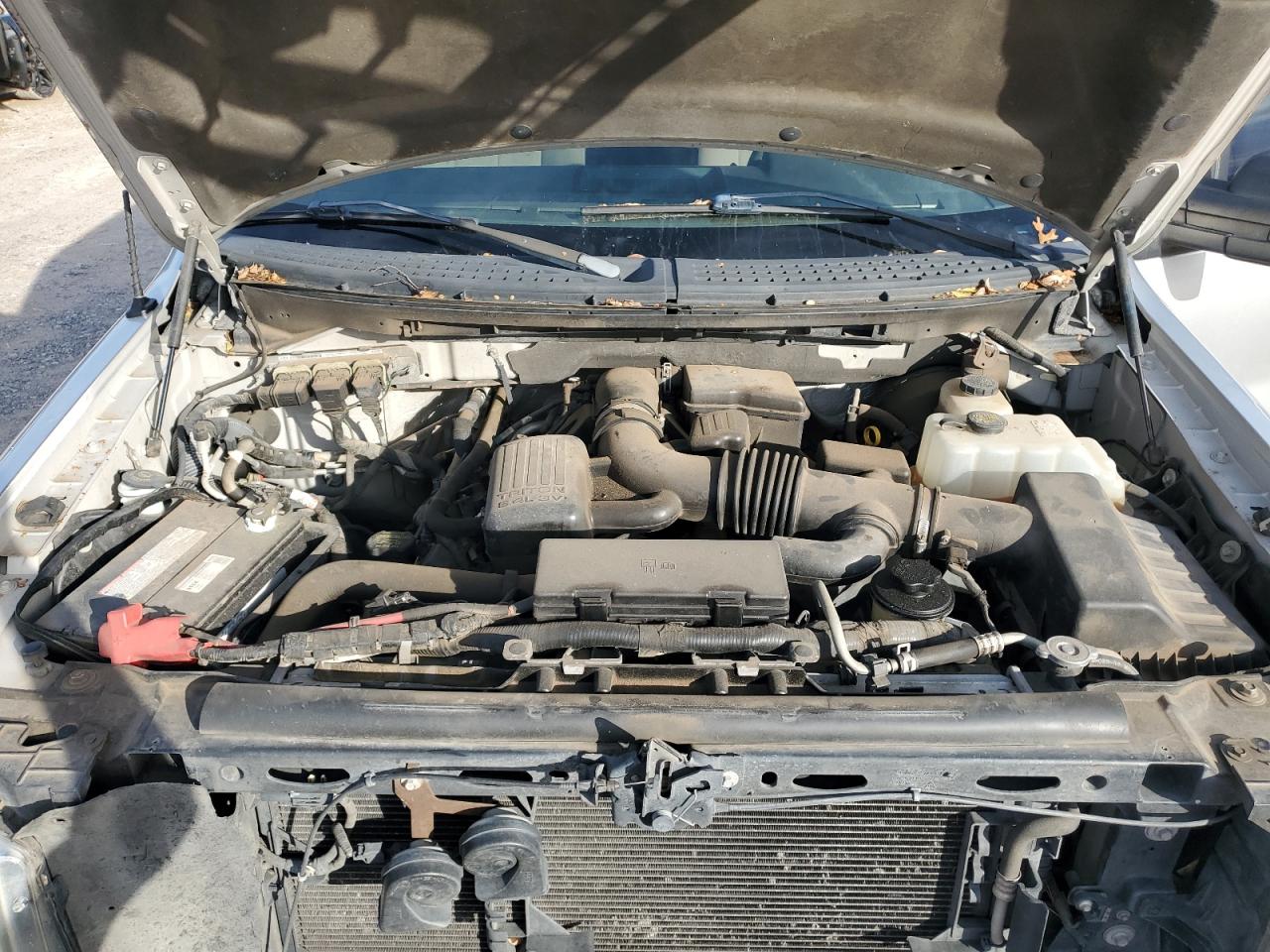 2010 Ford F-150 - Image 12