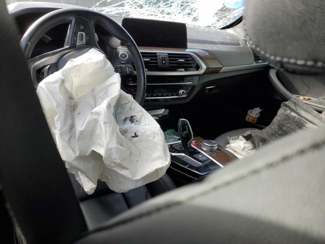 2019 BMW X3 Sdrive30I VIN: 5UXTR7C53KLR50534 Lot: 85670654