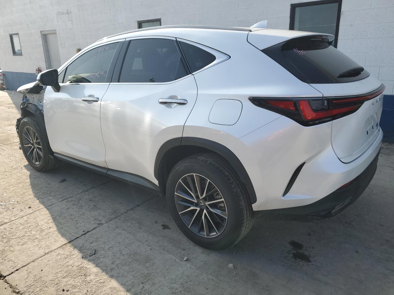 2023 Lexus NX - Image 2