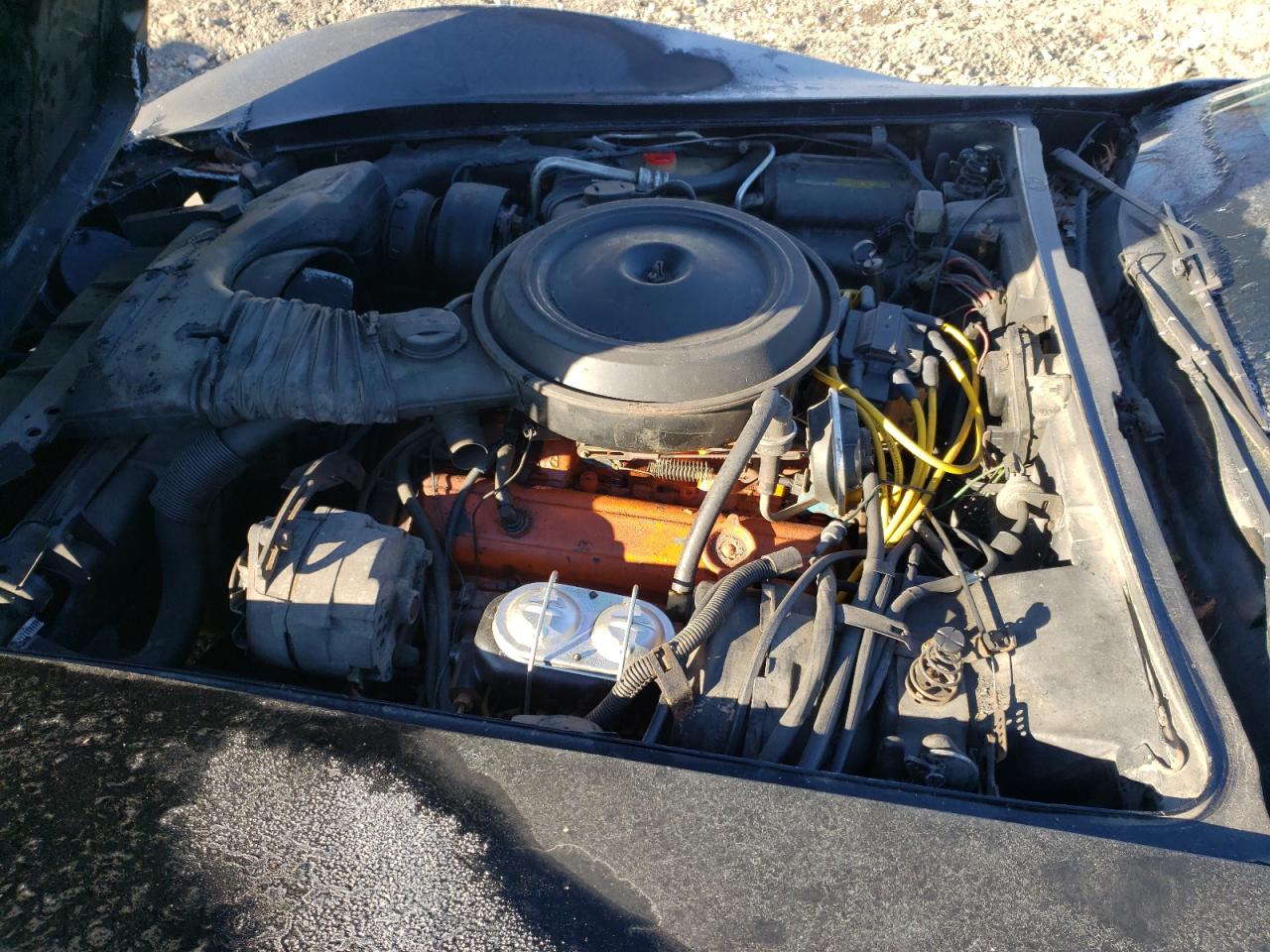 1980 Chevrolet Corvette VIN: 1Z878AS416820 Lot: 83607144