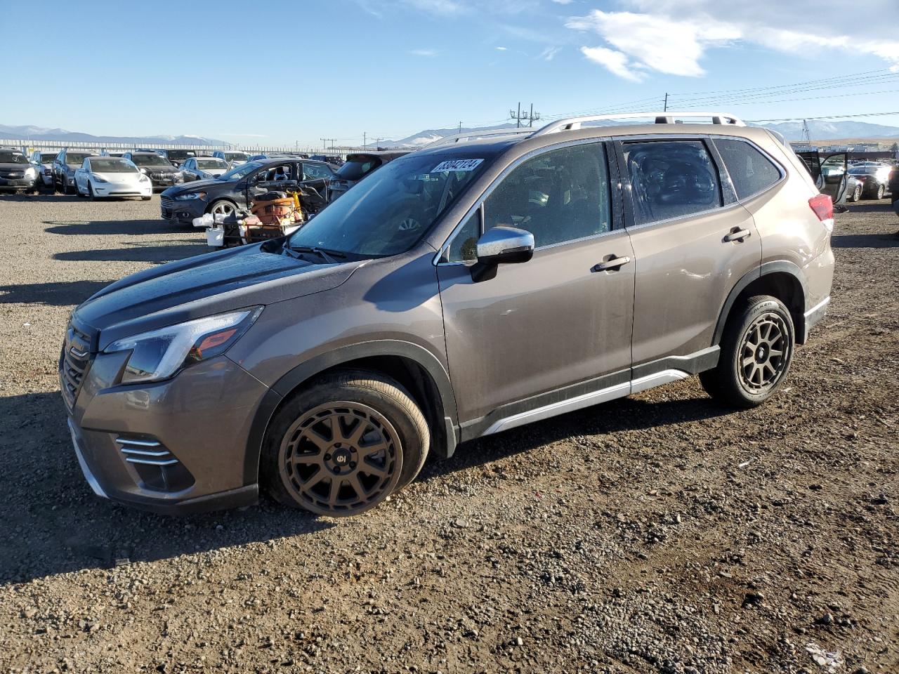 2024 Subaru Forester - Image 1