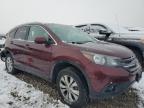 2012 Honda Cr-V Exl на продаже в Magna, UT - Rear End