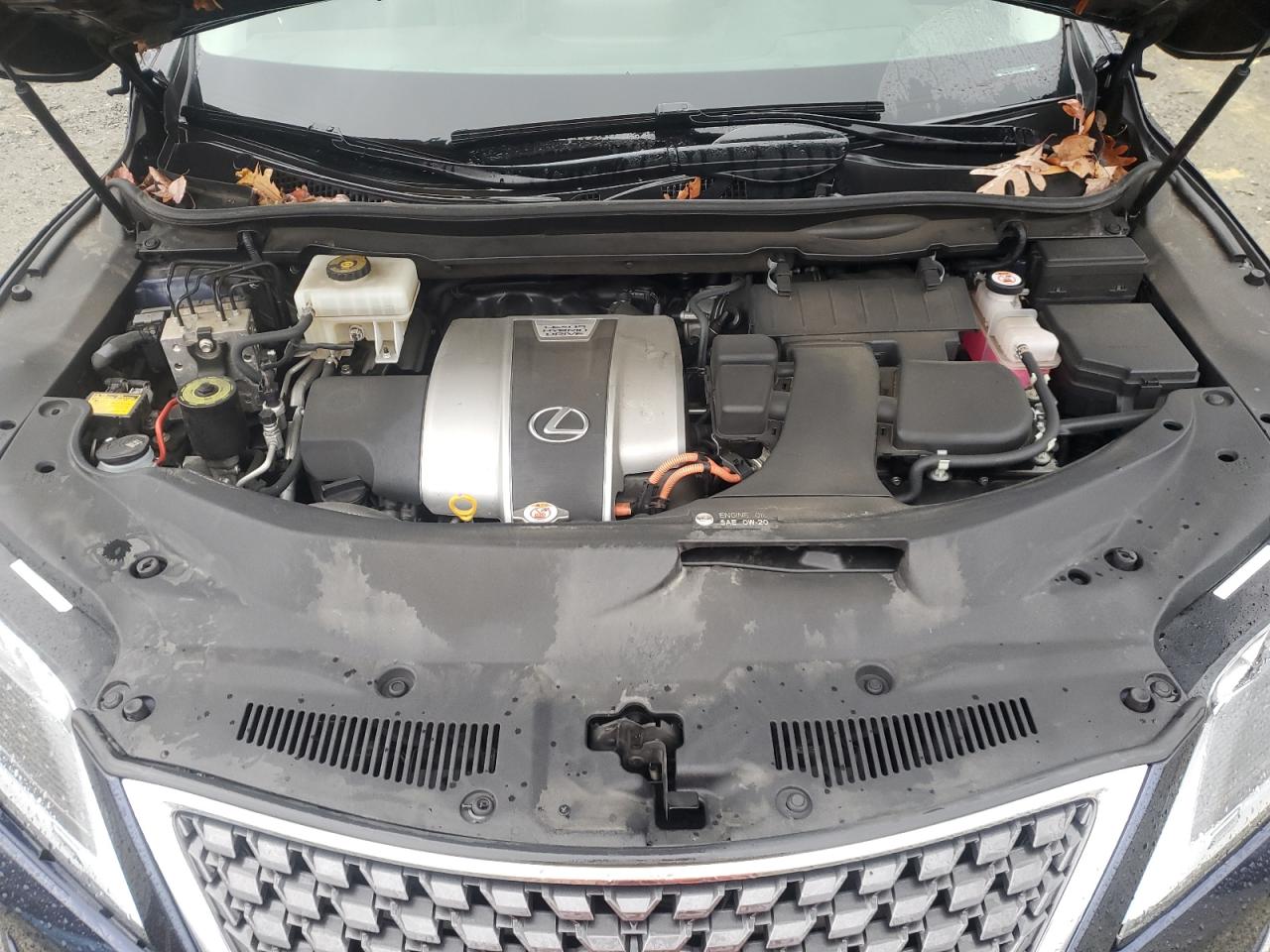 2020 Lexus RX - Image 12