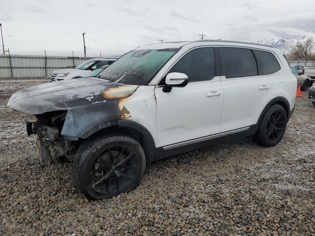 2020 Kia Telluride - Image 1