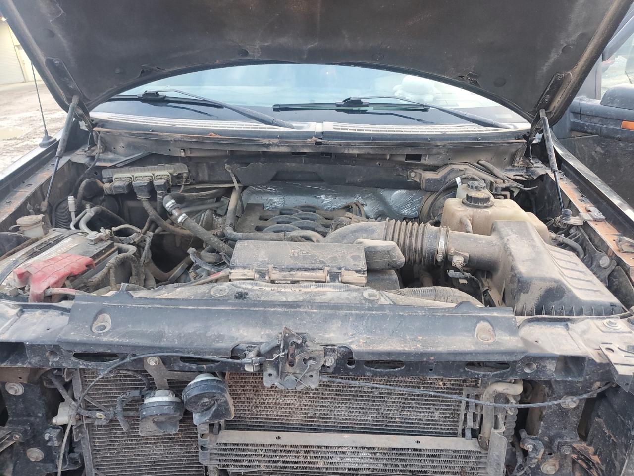 2011 Ford F-150 - Image 11