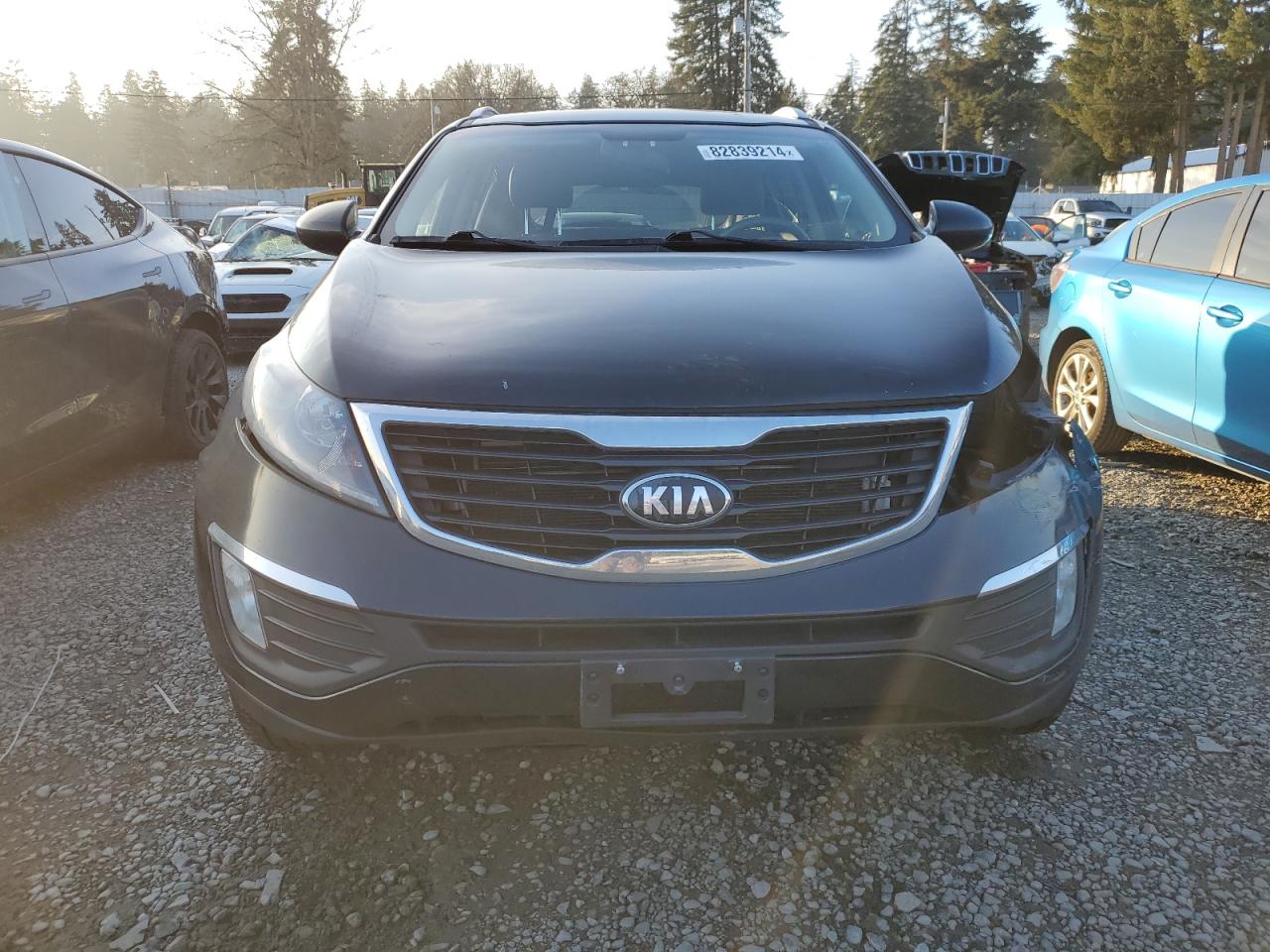 2016 Kia Sportage - Image 5