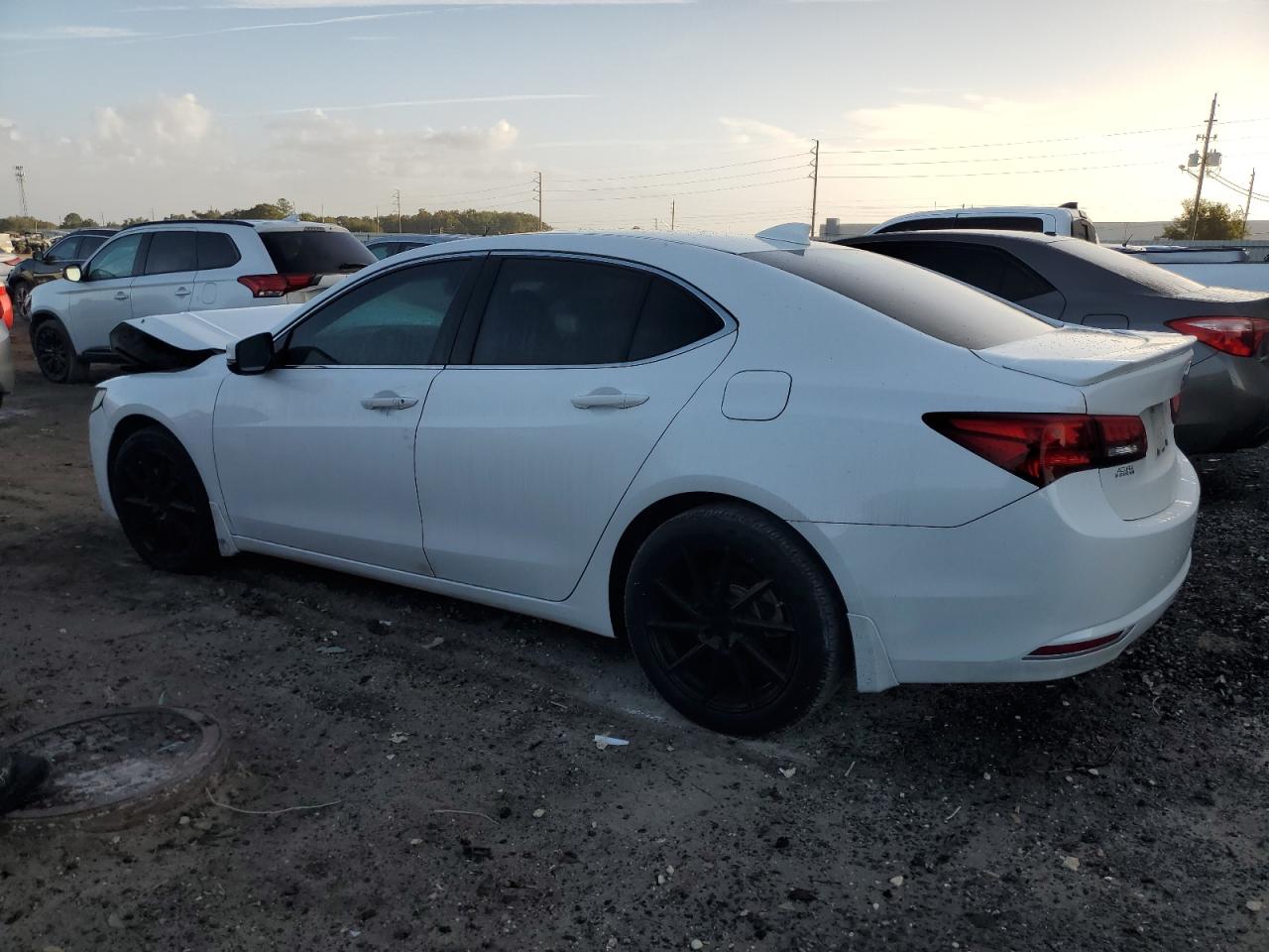 VIN 19UUB2F53HA003041 2017 ACURA TLX no.2