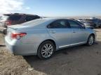 2011 Lexus Es 350 للبيع في Albuquerque، NM - Front End