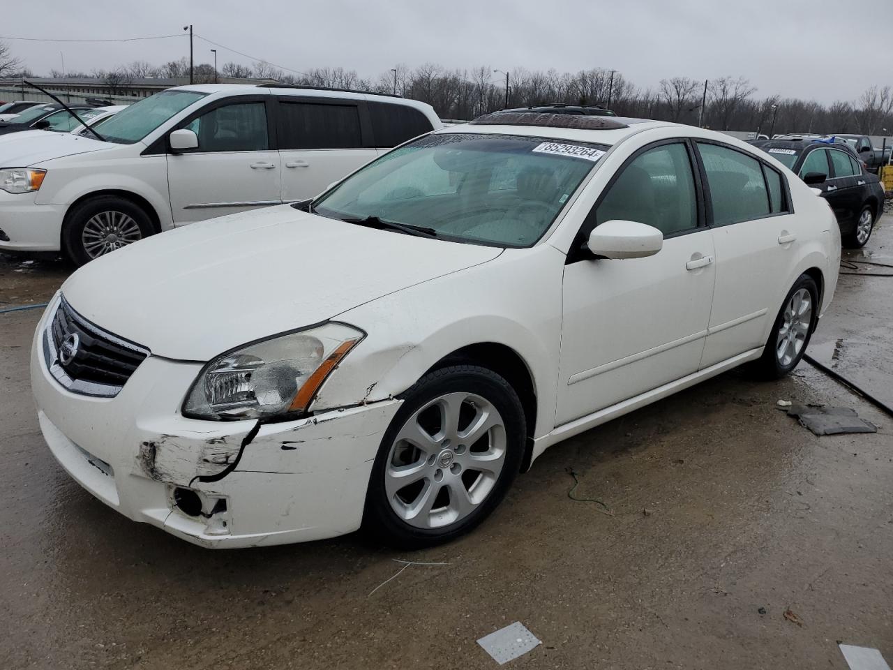 2008 Nissan Maxima Se for Sale in Louisville, KY - Front End