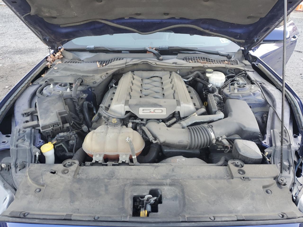 2015 Ford Mustang - Image 11