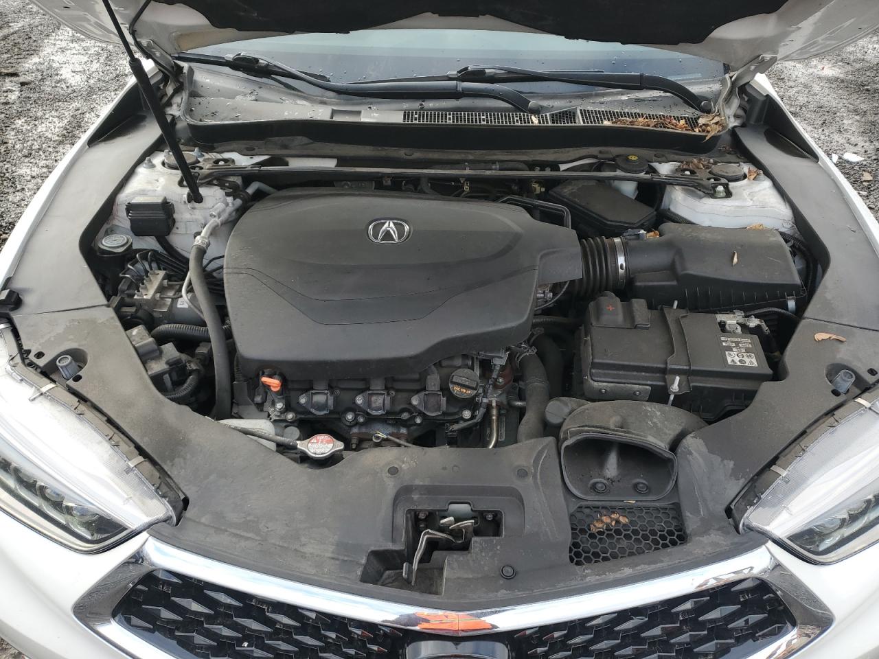 VIN 19UUB2F31KA001469 2019 ACURA TLX no.11