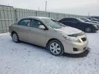 2010 TOYOTA COROLLA BASE for sale at Copart ON - OTTAWA