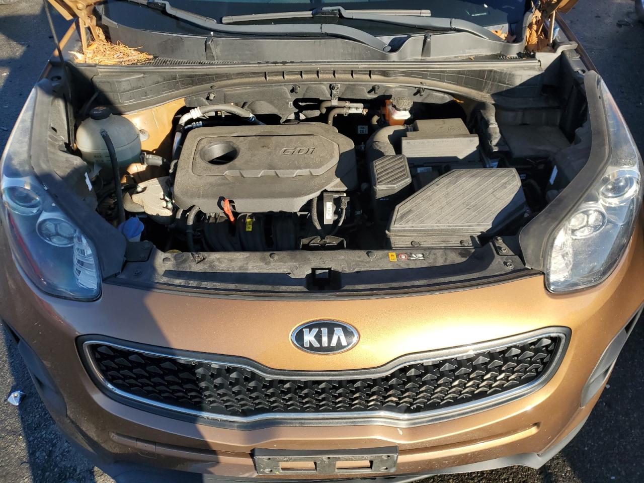 2017 Kia Sportage Lx VIN: KNDPM3AC1H7157407 Lot: 84888454