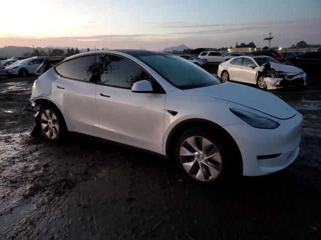  TESLA MODEL Y 2023 Белы