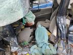 2007 Kia Sedona Ex for Sale in Portland, MI - All Over