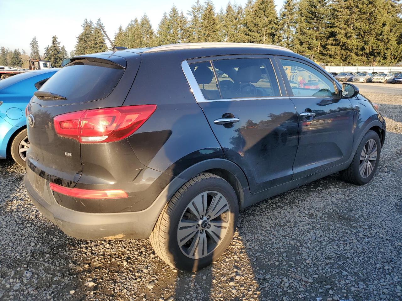 2016 Kia Sportage - Image 3