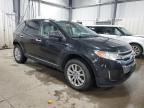 2011 Ford Edge Sel de vânzare în Ham Lake, MN - Rear End