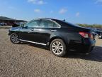 2012 Lexus Es 350 for Sale in Houston, TX - Front End