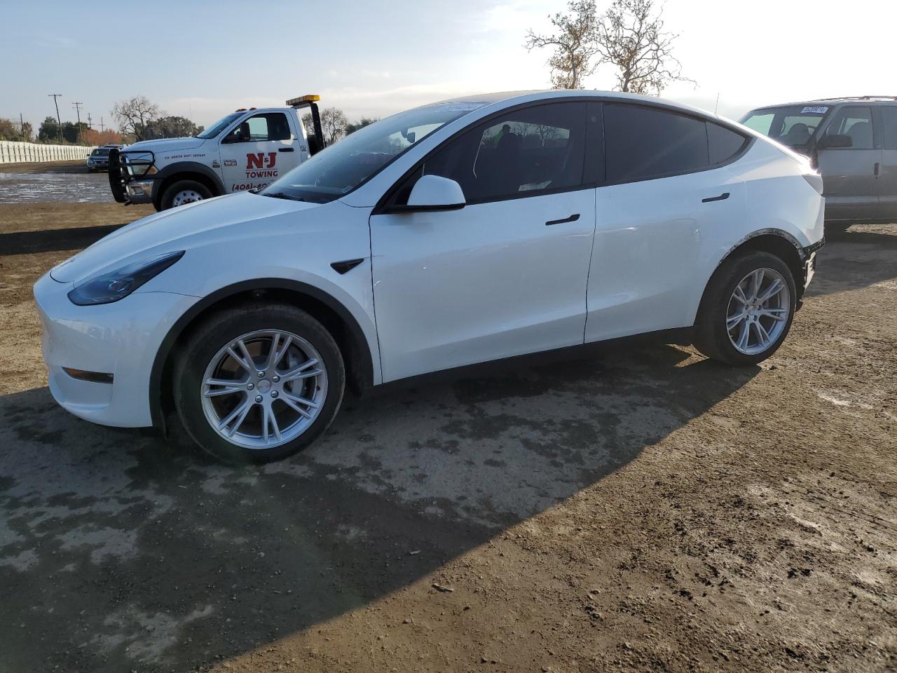 2023 Tesla Model Y VIN: 7SAYGDEE6PF687056 Lot: 85094204