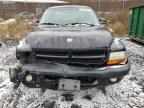 2001 Dodge Dakota Quad за продажба в Baltimore, MD - Front End