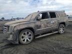2016 Cadillac Escalade Premium للبيع في Fresno، CA - Water/Flood
