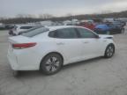 2017 Kia Optima Hybrid за продажба в Kansas City, KS - Front End