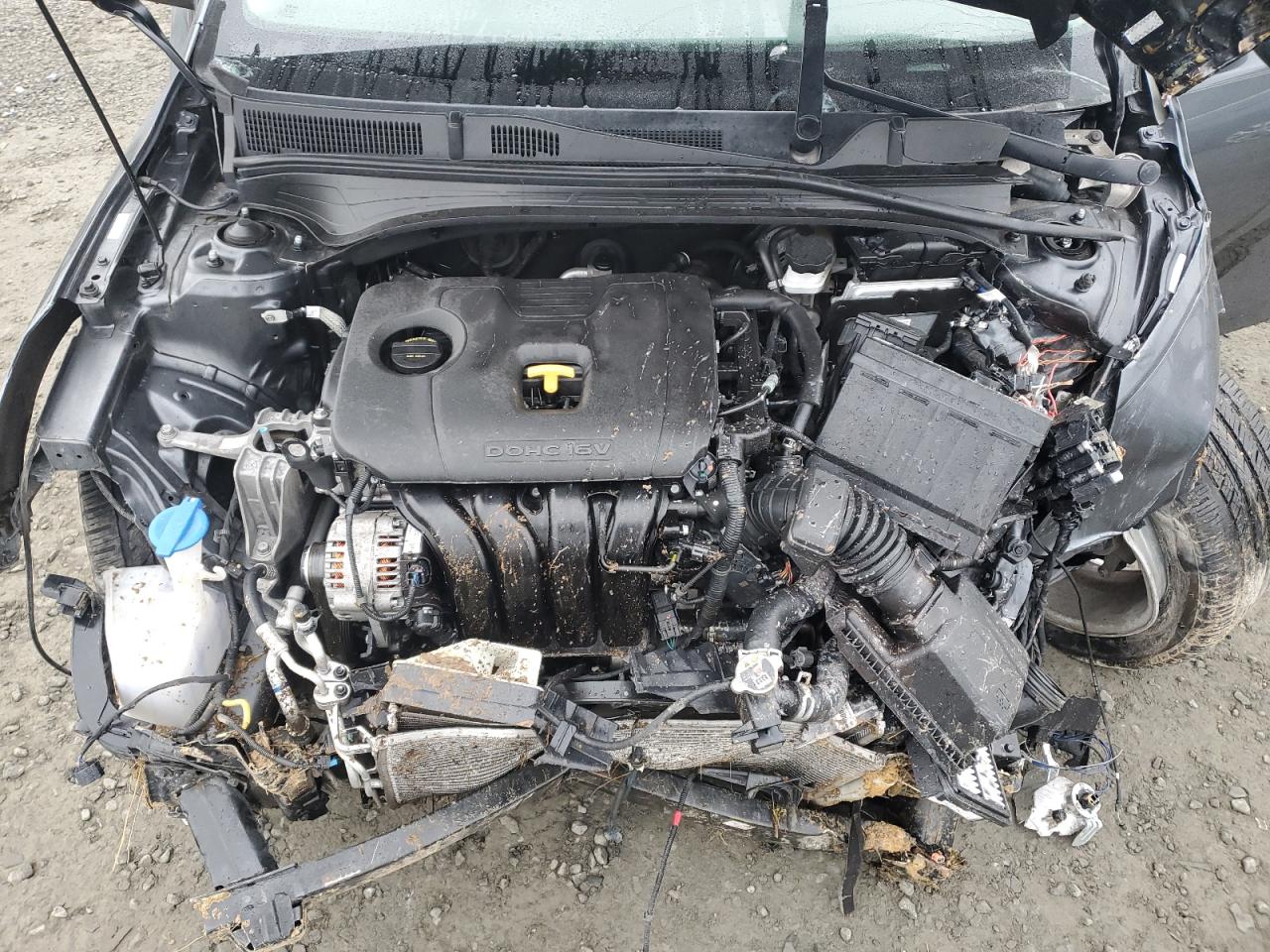 2019 Kia Forte - Image 12